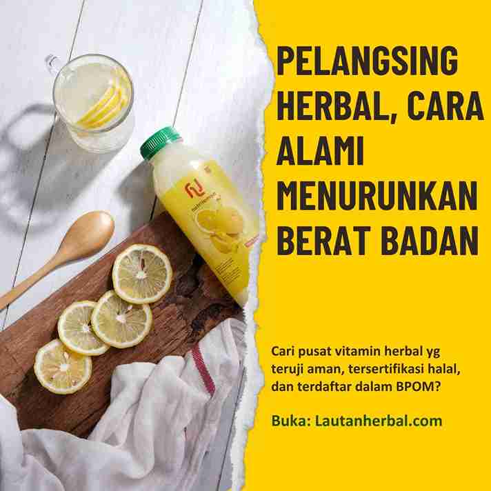 Herbal Pelangsing Perut Buncit