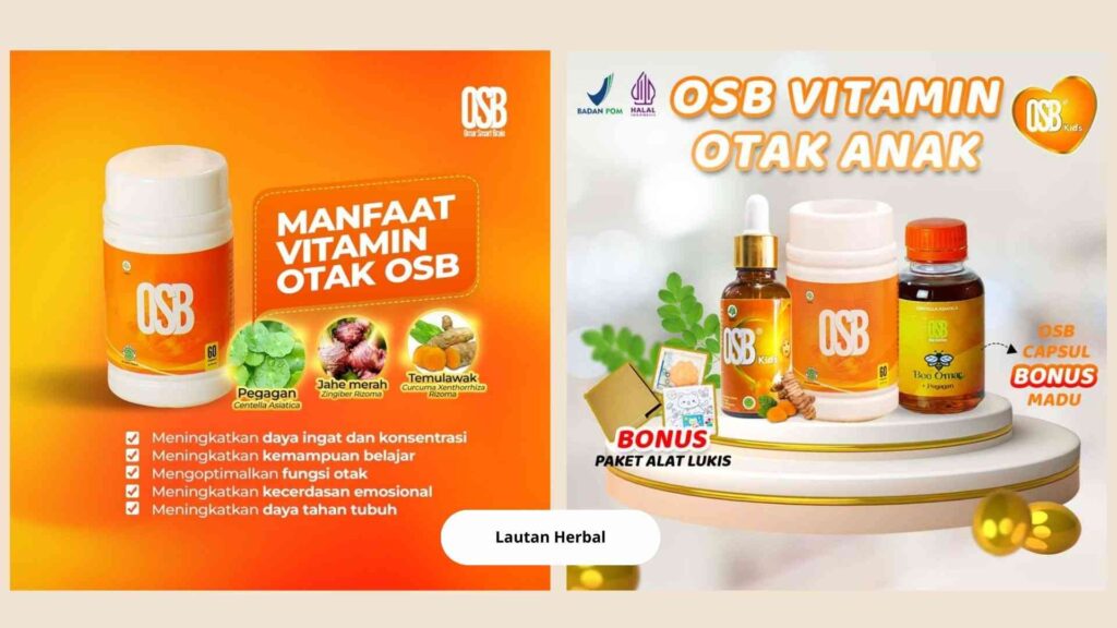 Vitamin-Otak-Anak-Remaja-Lautan-Herbal