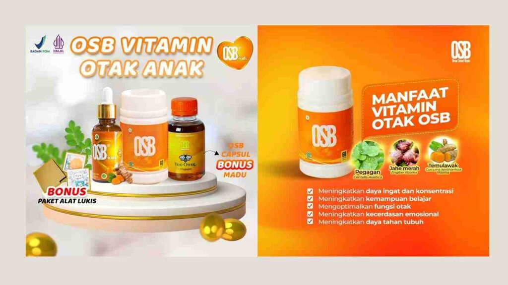 Suplemen-Buat-Otak-Dewasa-OSB-Lautan-Herbal