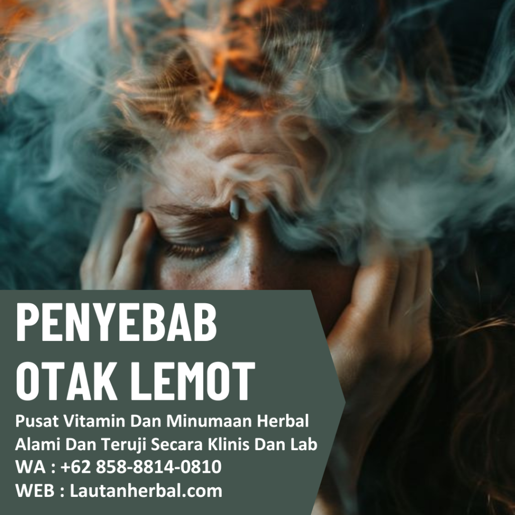 Penyebab Otak Lemot, Solusi Dan Penyebabnya