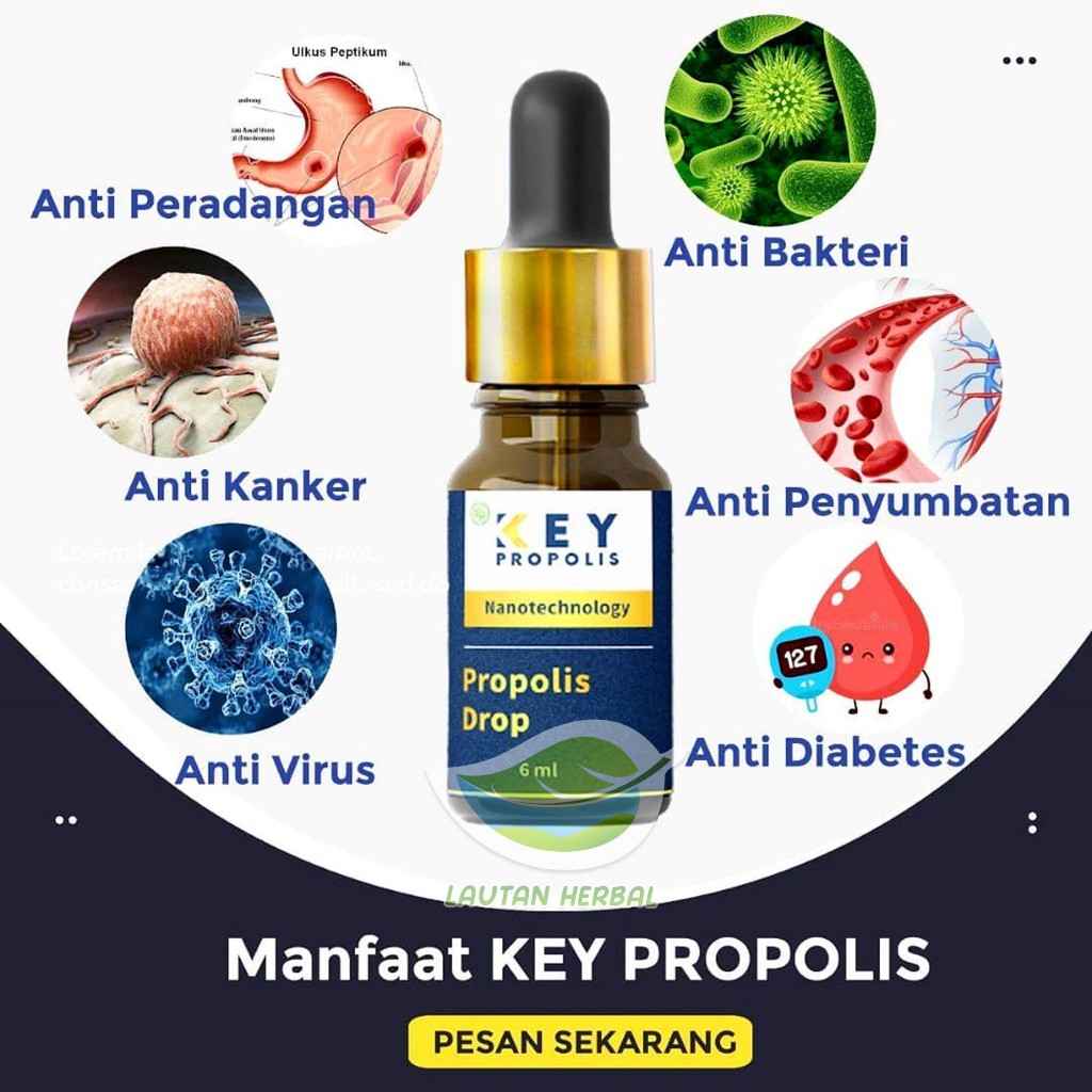 Propolis Obat Tetes - Key Propolis By Lautan Herbal (2)